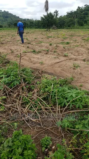 20,000 Acres of Land Behind First Bank, Close to LAUTECH, Is