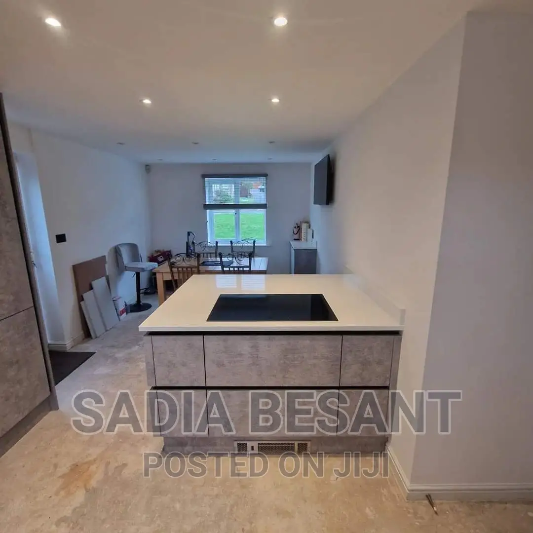 Contemporary Kitchen Cabinets