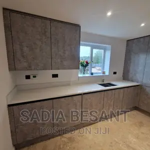 Contemporary Kitchen Cabinets