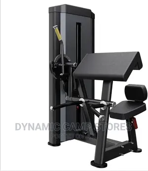 American Fitness Heavy-Duty Triceps Extension/Biceps Curl