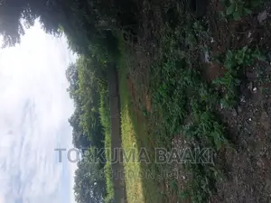 2500 Commercial Land