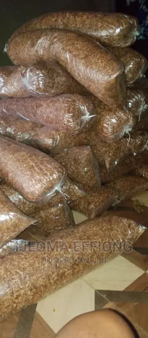 7 to 8 Painters in a Bag Clean Oron Crayfish