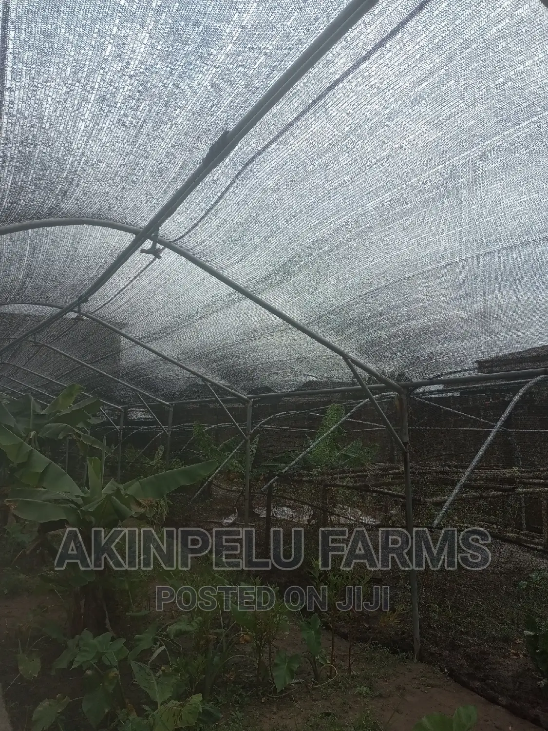 Green House Construction.