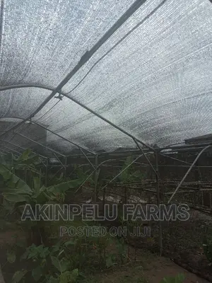 Green House Construction.