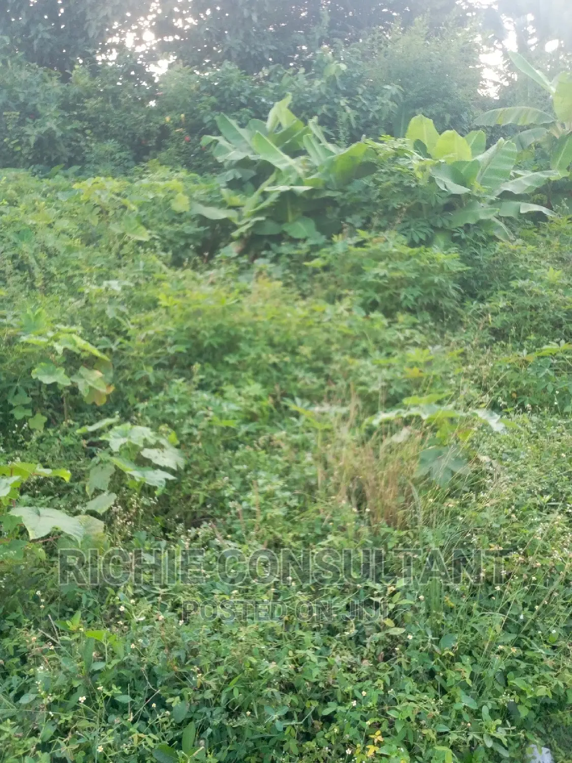 Farmland For Sale