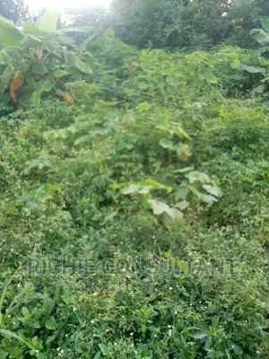 Farmland For Sale