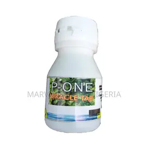 P One Miracle Tab for Pains