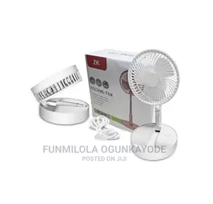 Foldable Fan..