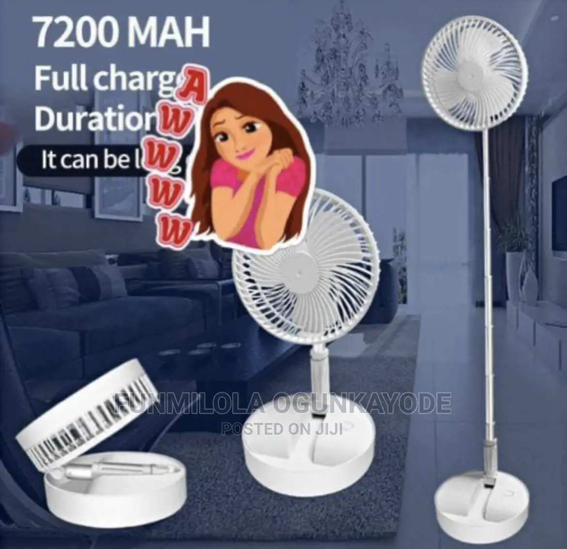 Foldable Fan..