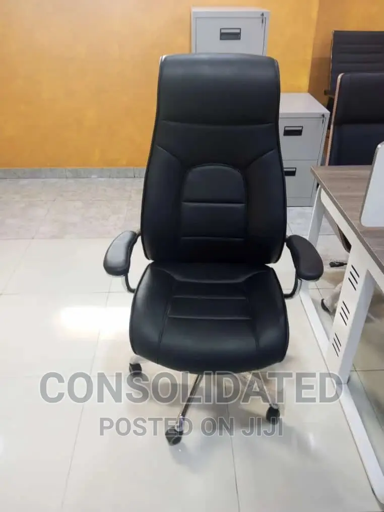 Executive Ergonomic Office Chair