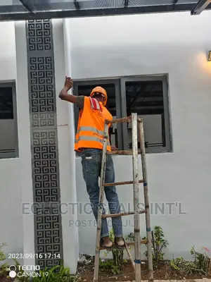Cleaning Professionals