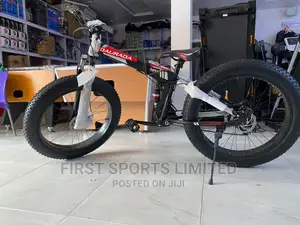 Adjustable Fats Tire Bicycle