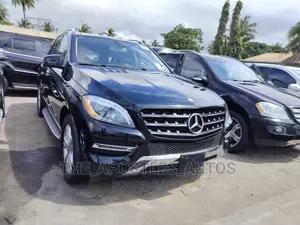 Mercedes-Benz M Class 2015 Black