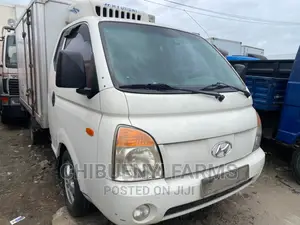 Cooling Van 3-Tons (Working Cold Room)