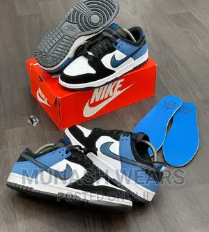 Nike Sb Dunk Sneakers
