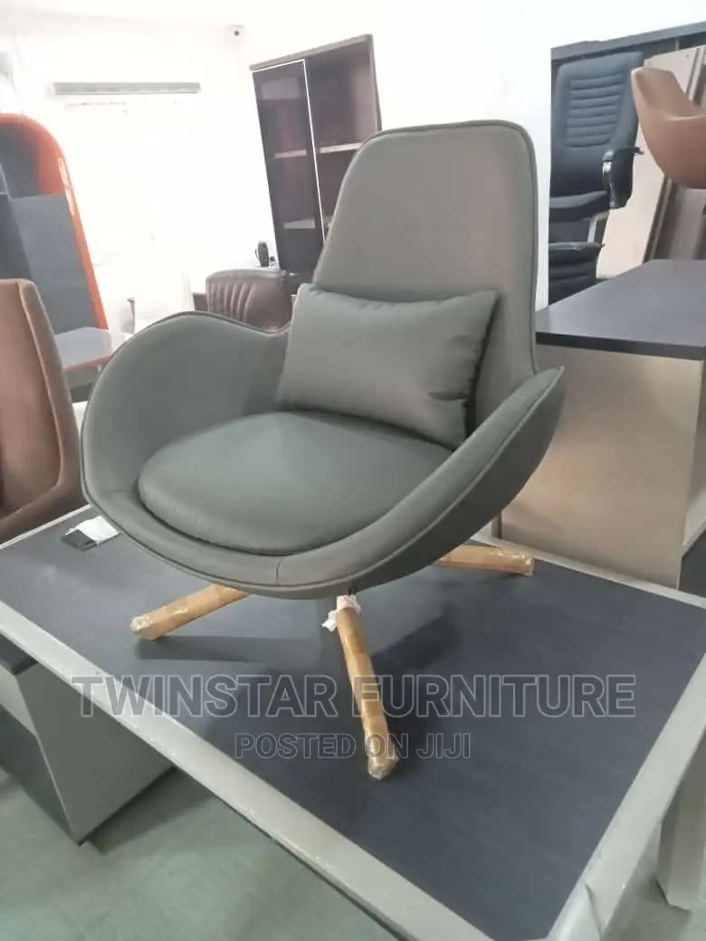 Modern Luxury Leather Relaxation Chairs