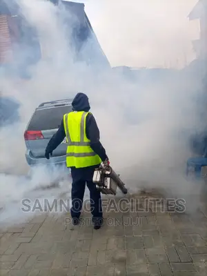 Fumigation by Expert With Fog Machine