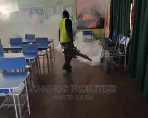 Fumigation by Expert With Fog Machine