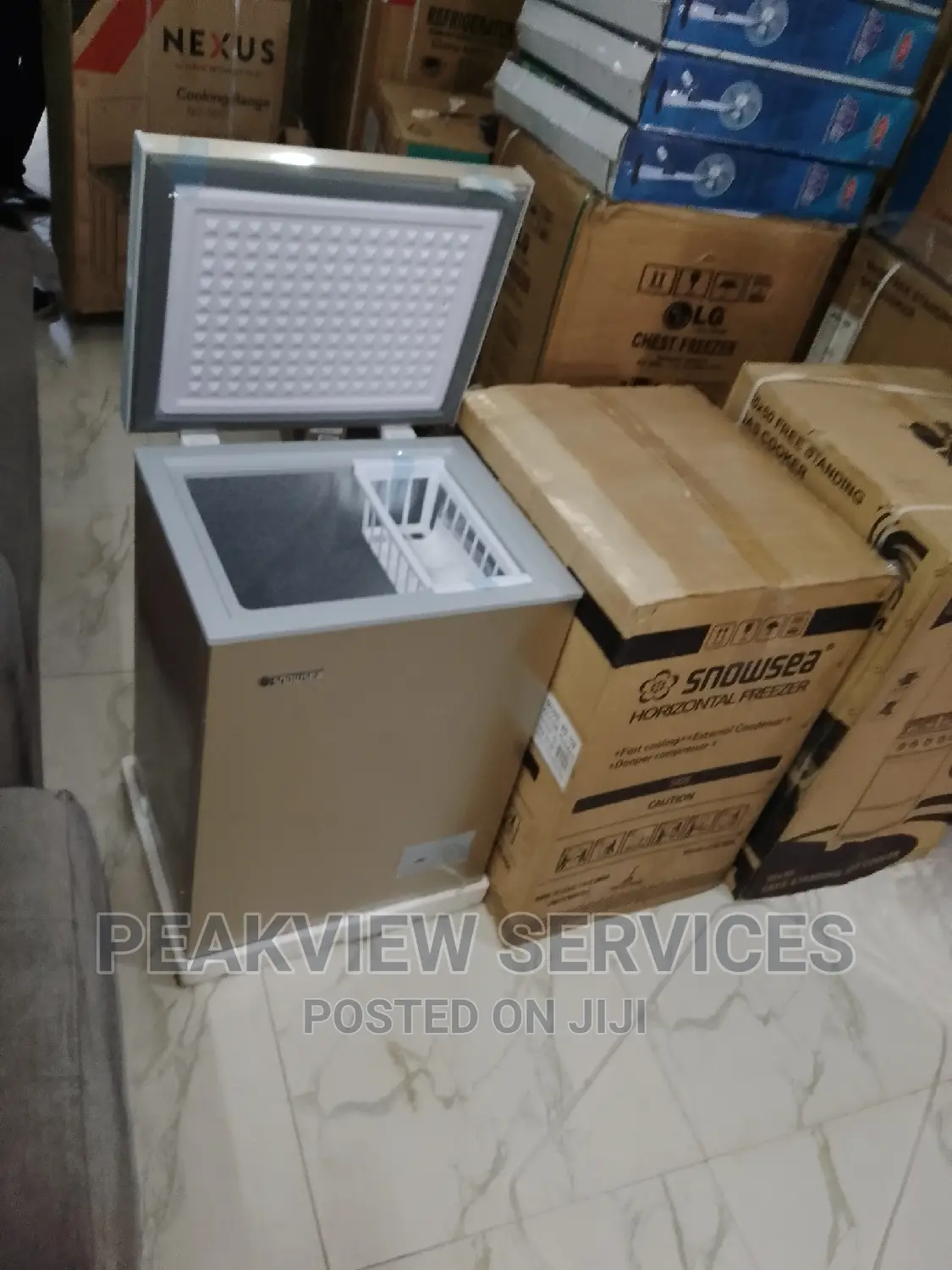Freestanding Snowsea Horizontal Chest Freezer/Bd-108