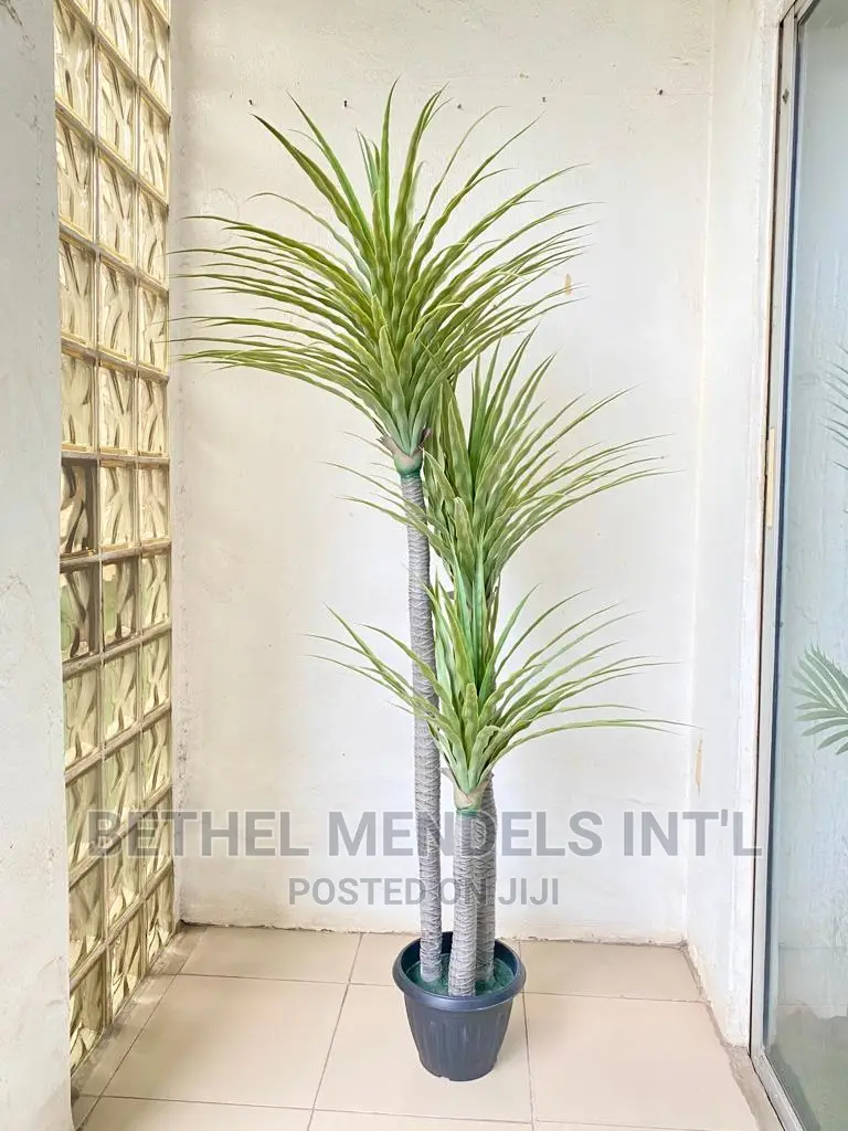 Artificial Plants Bulk Sales of Fake Yucca Plants in Ikeja Garden