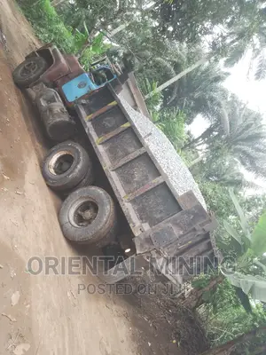 Chippings From Oriental Mining Company