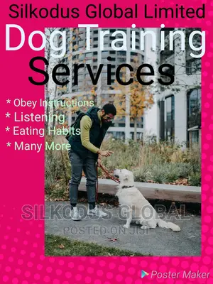 Dog Trainer
