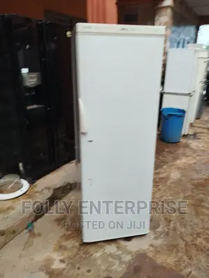 Upright Freezer (Standing)