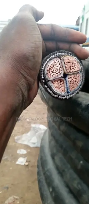 240mm 4core Nigerchin Armoured Cable 2