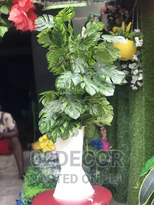Artificial Plant and Pots