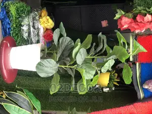 Artificial Plant and Pots