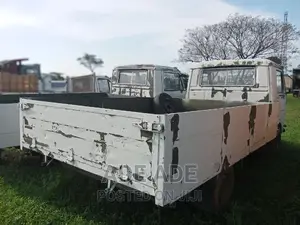 Two LT Pick Up Truck