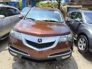 Acura MDX 2011 Brown