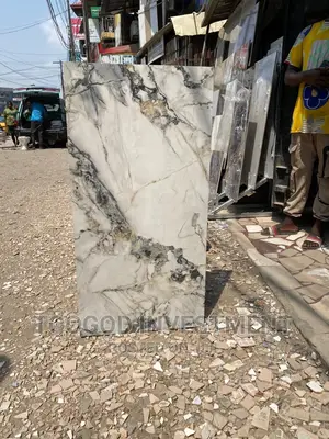60*120 Super Polish Tiles Available for Your Parlor