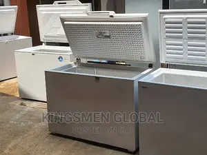 High Quality Siemens Deep Freezer Made in Germany 1/5th