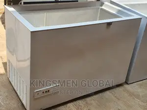 High Quality Siemens Deep Freezer Made in Germany 1/5th