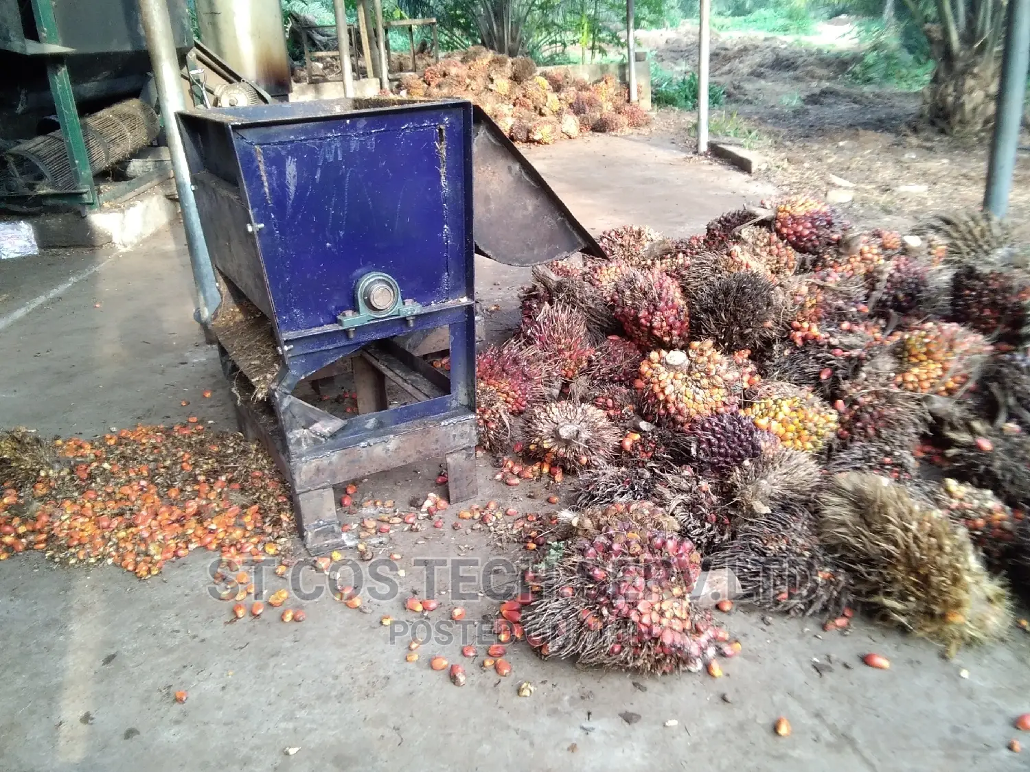 Mini Bunch Thresher