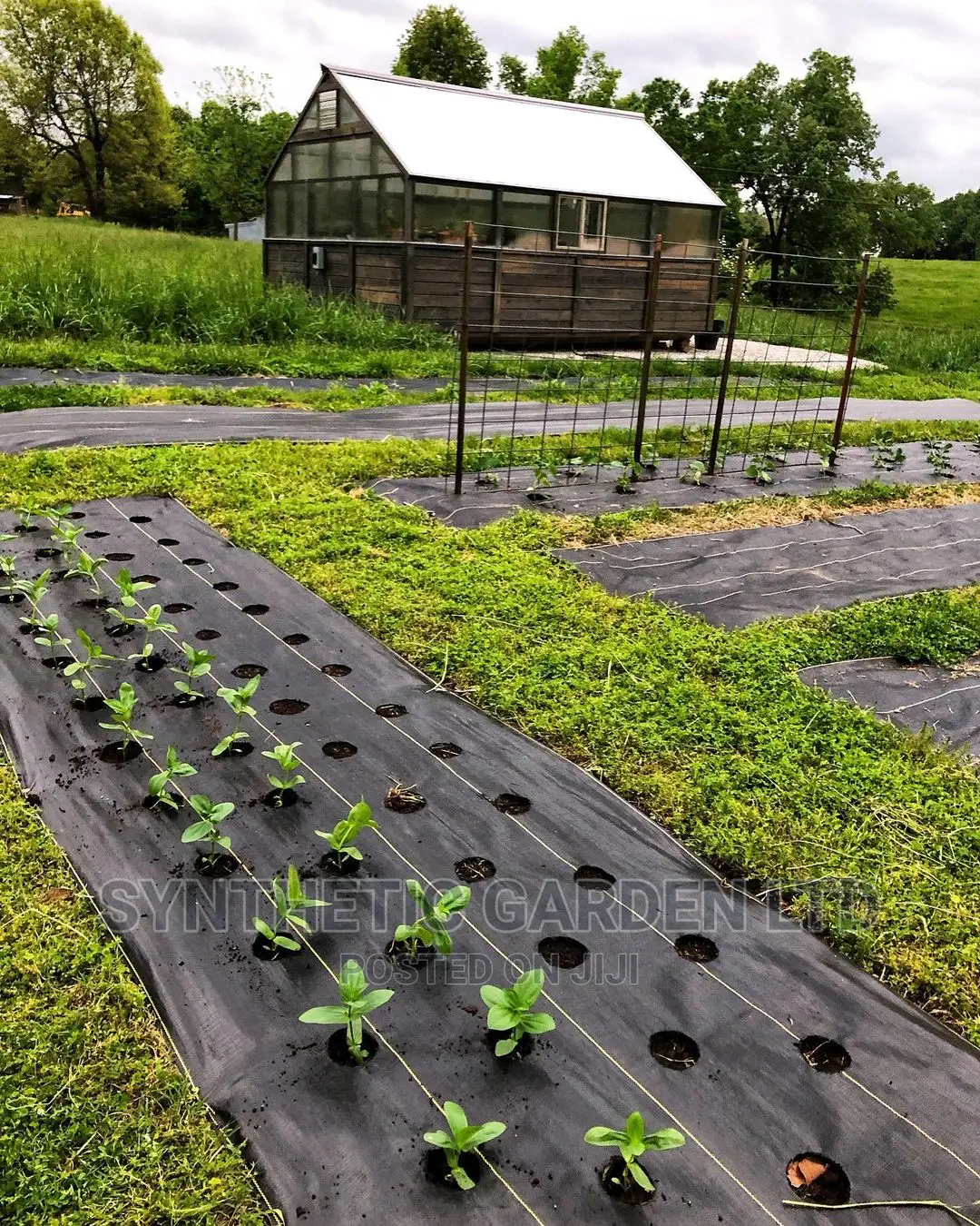 Weeding Mat/ Carpet