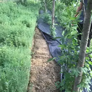 Weeding Mat/ Carpet