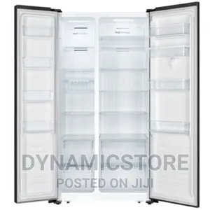Hisense 67WSBG 514L Side by Side Refrigerator