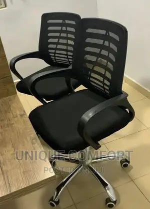 Executive Office/Study Chair With Swivel Legs