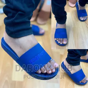 Best Quality Essential Slides_ash, Blue N Brown