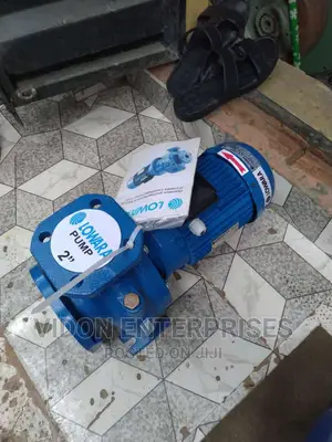 Lowara Water Pump