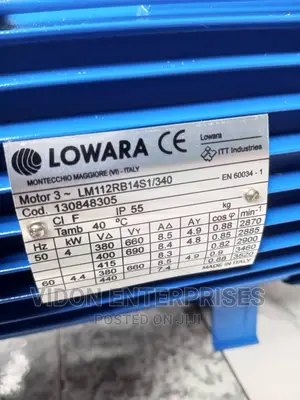 Lowara Water Pump