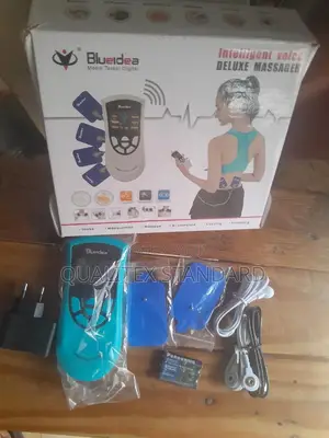 Intelligent Voice Deluxe Massager