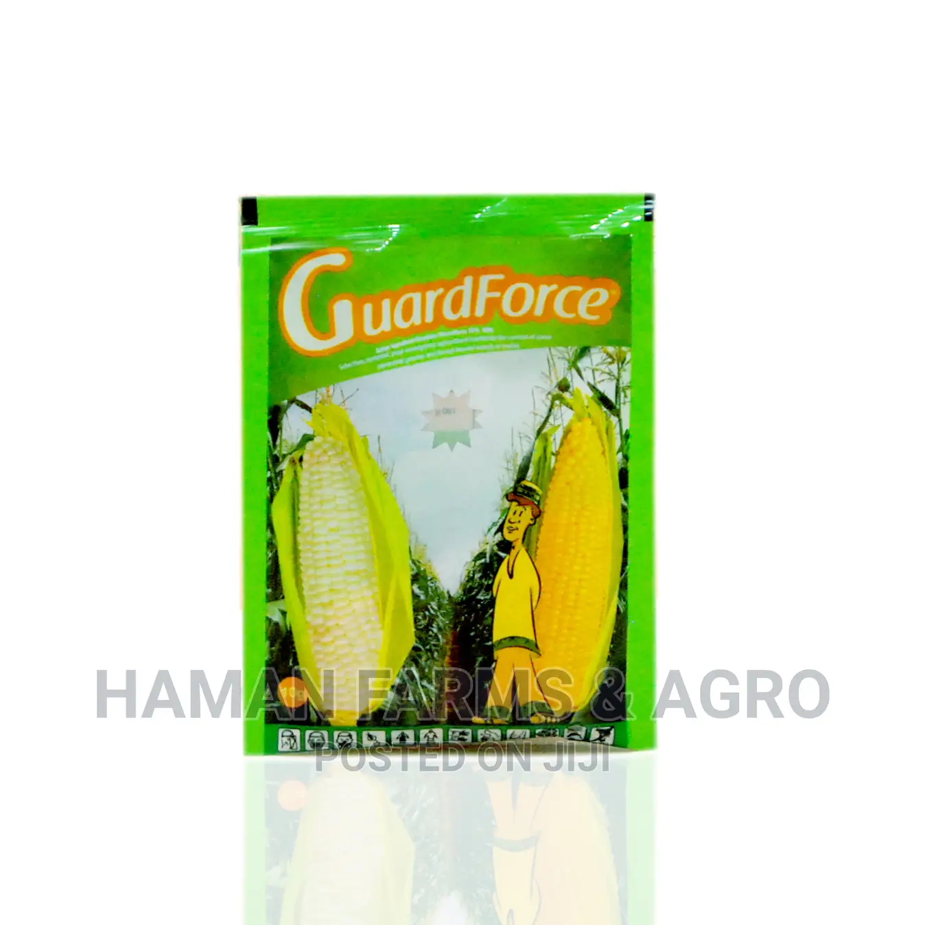 Guardforce
