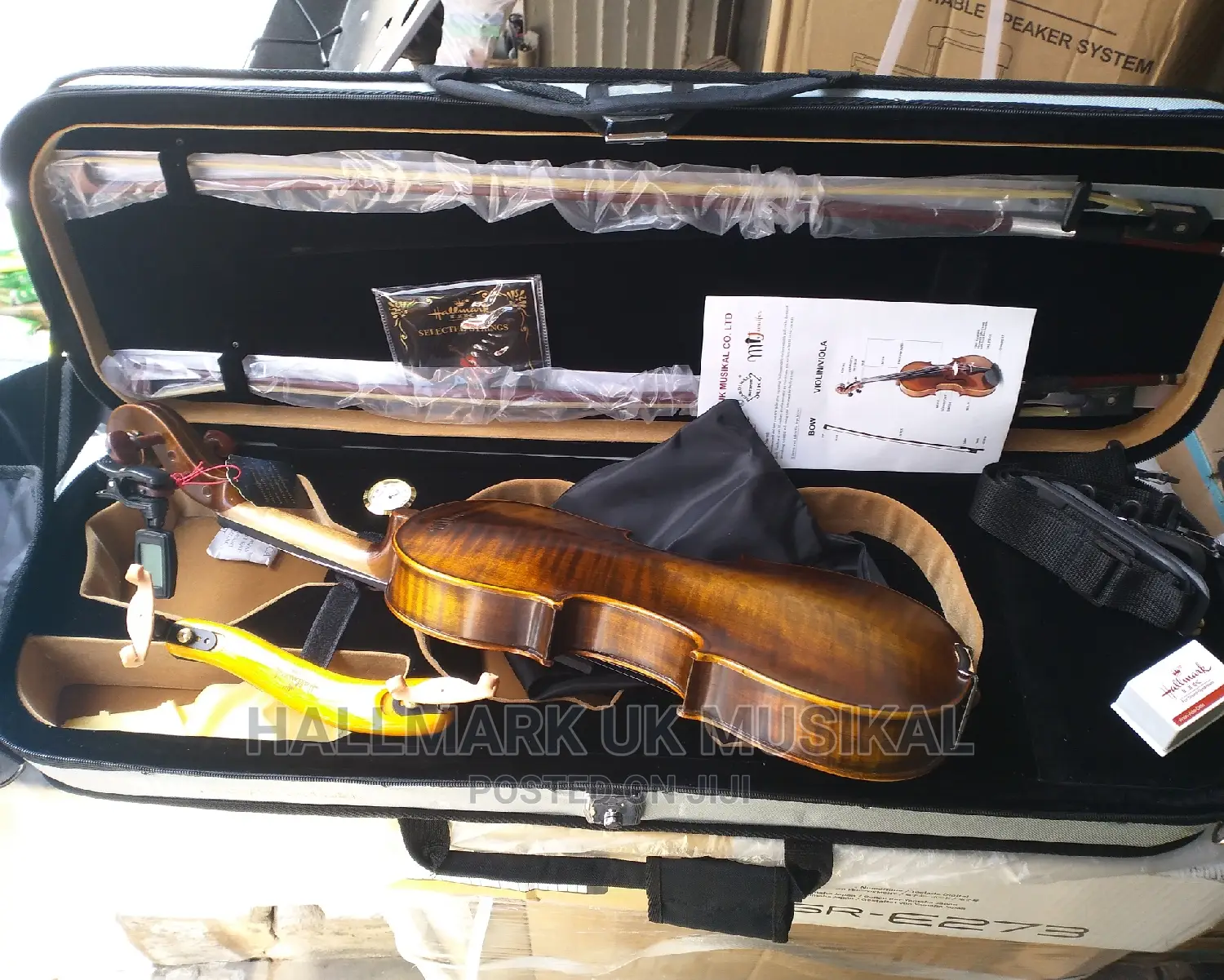 Mic-Jennifer Concert Violin
