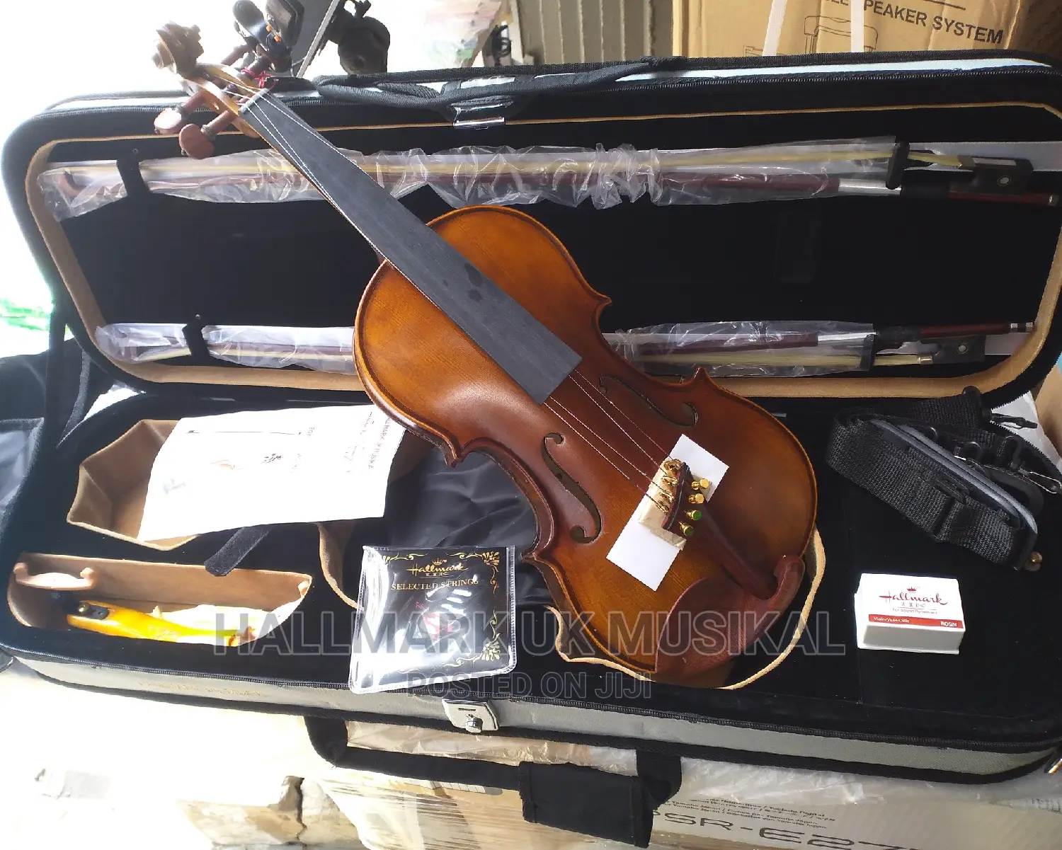 Mic-Jennifer Concert Violin