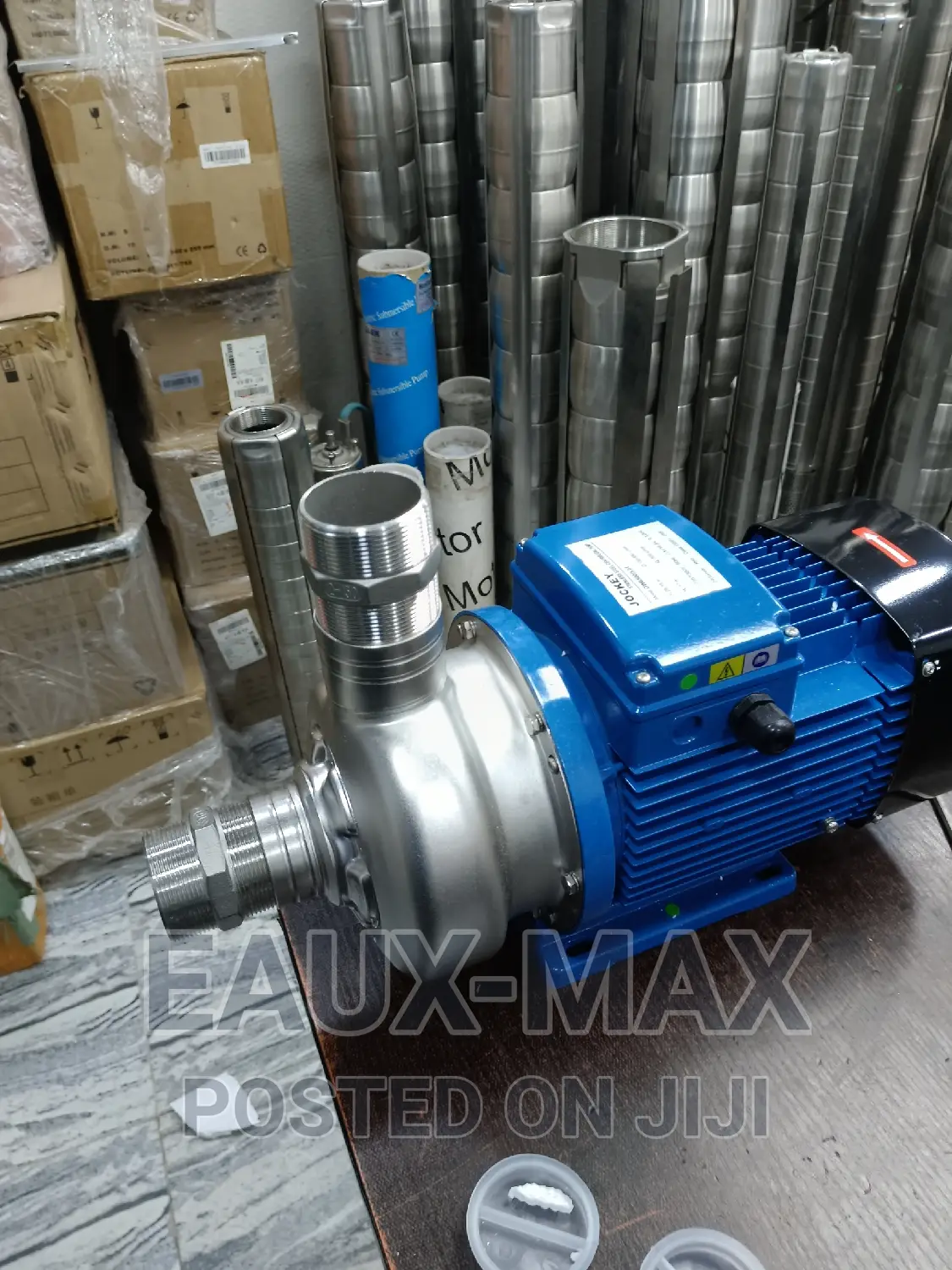 Max Grund Stainless Surface Water Pump