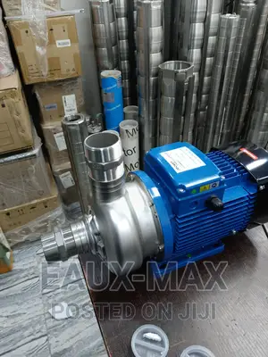 Max Grund Stainless Surface Water Pump
