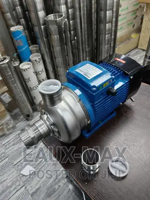Max Grund Stainless Surface Water Pump